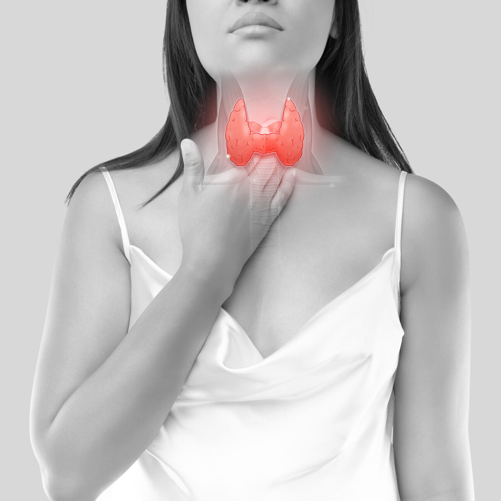 The illustration of the thyroid is on the woman's body against the gray background. Internal organs of the human body.